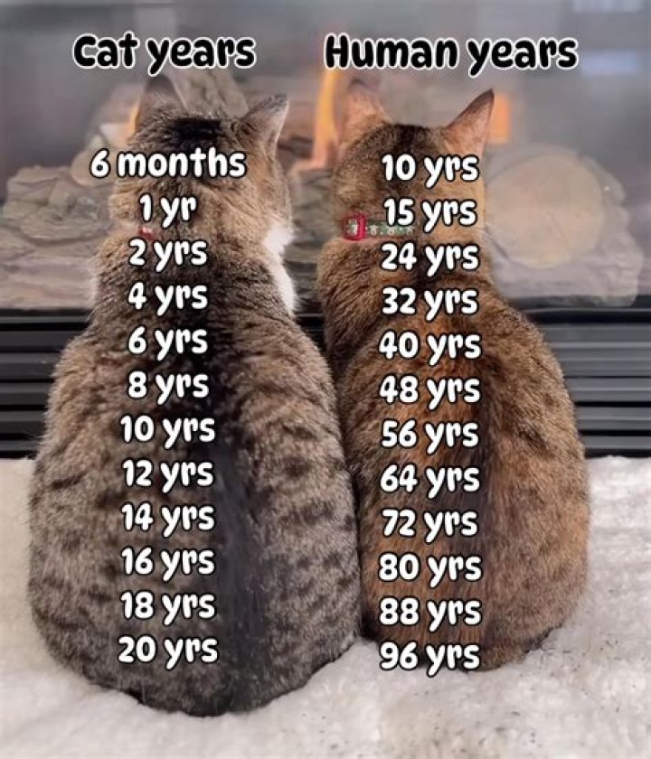 Erin Kinsey Age: How Old Is The Singer?