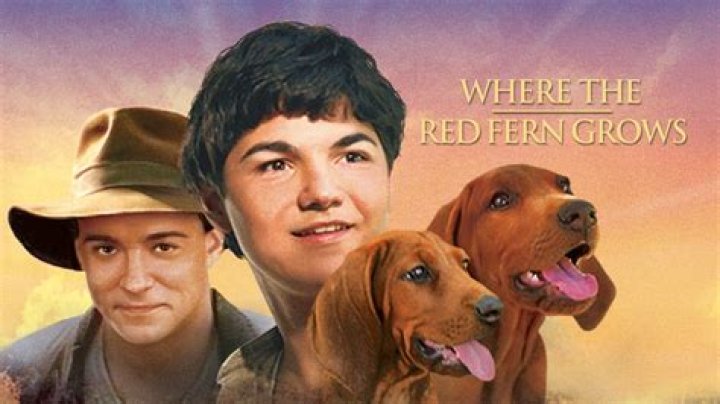 Who Is Tom Durant Pritchard From Rain Dogs? Wikipedia And Net Worth